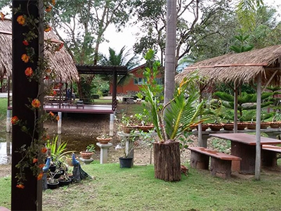 ใกล้ชิดธรรมชาติ สัมผัสม่านหมอก ที่เรือนเคียงภู โฮมสเตย์ .. บริการ บ้านพัก ลานกลางเต้นท์ และอาหารเช้า