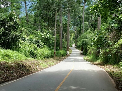 บ้านดินของเราสร้างขึ้นจากแรงบันดาลใจ ความชอบ และความรักในธรรมชาติ ตั้งอยู่ท่ามกลางธรรมชาติที่เต็มไปด้วยต้นไม้นานาพันธุ์ โอบล้อมด้วยภูเขาน้อยใหญ่สลับตัวเรียงรายกันอย่างลงตัว พร้อมสัมผัสความงามของดอยหลวงเชียงดาว