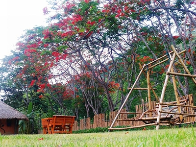 บ้านดินของเราสร้างขึ้นจากแรงบันดาลใจ ความชอบ และความรักในธรรมชาติ ตั้งอยู่ท่ามกลางธรรมชาติที่เต็มไปด้วยต้นไม้นานาพันธุ์ โอบล้อมด้วยภูเขาน้อยใหญ่สลับตัวเรียงรายกันอย่างลงตัว พร้อมสัมผัสความงามของดอยหลวงเชียงดาว