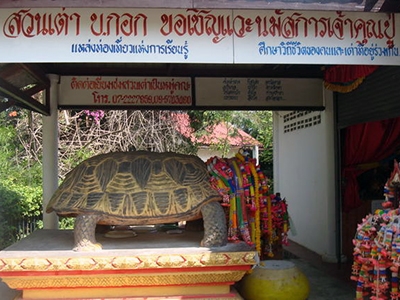 บ้านกอกโฮมสเตย์ ขอนแก่น (หมู่บ้านเต่าเพ็ก)