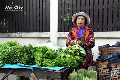 ตลาดผัก วัดชัยมงคล .. แพร่ เมืองงดงาม ที่นักเดินทางมองข้าม