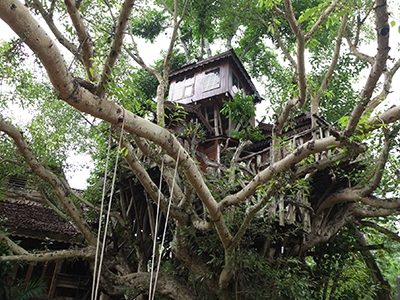 บ้านต้นไม้ปาย รีสอร์ท