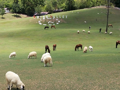 Swiss Valley Hip Resort สวนผึ้ง