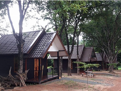 ต้นไม้ใหญ่ Homestay วังทอง พิษณุโลก