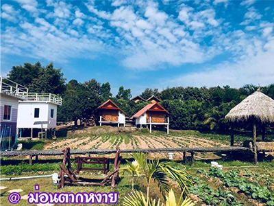 ที่พัก ม่อนตากหงาย โฮมสเตย์ แม่ใจ พะเยา