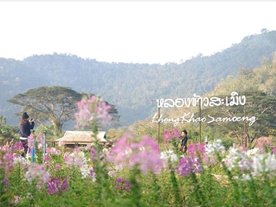 หลองข้าวสะเมิง เชียงใหม่ Lhongkhao Samoeng