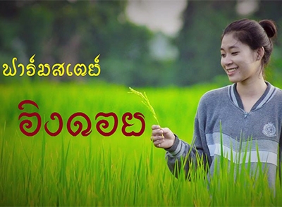 ฟาร์มสเตย์อิงดอย เทิง เชียงราย