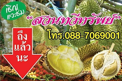 สวนทวีทรัพย์ ศรีสะเกษ