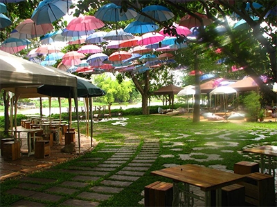 Tree & Tide Riverside Cafe ลำพญา นครปฐม