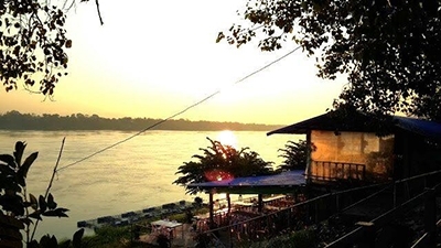 ภูตะวันปลาจุ่ม นครพนม (ต้นโพธิใหญ่)