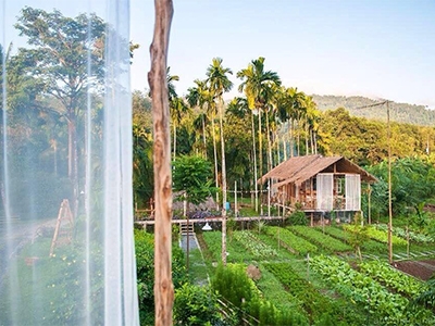 บ้านไร่ ไออรุณ ระนอง baan rai i arun