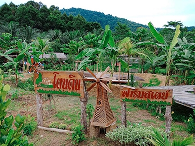 โตนดิน ฟาร์มสเตย์ ตะกั่วทุ่ง พังงา