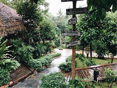 บ้านไม้ชายน้ำ รีสอร์ท ป่าพะยอม พัทลุง