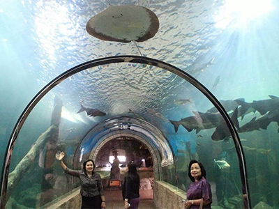 ศูนย์แสดงพันธุ์สัตว์น้ำ ศรีสะเกษ Sisaket Aquarium