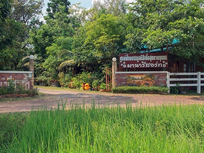 มานารีสอร์ท ปราสาท สุรินทร์