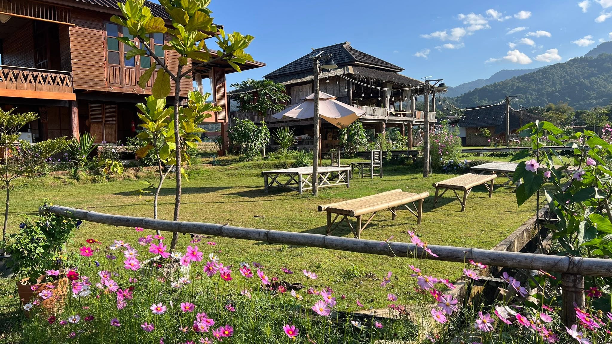 โรงเรียนชาวนาตำบลศิลาเพชร (Farmstay farmerschool) อ.ปัว น่าน