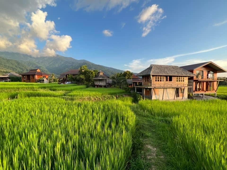 โรงเรียนชาวนาตำบลศิลาเพชร (Farmstay farmerschool) อ.ปัว น่าน