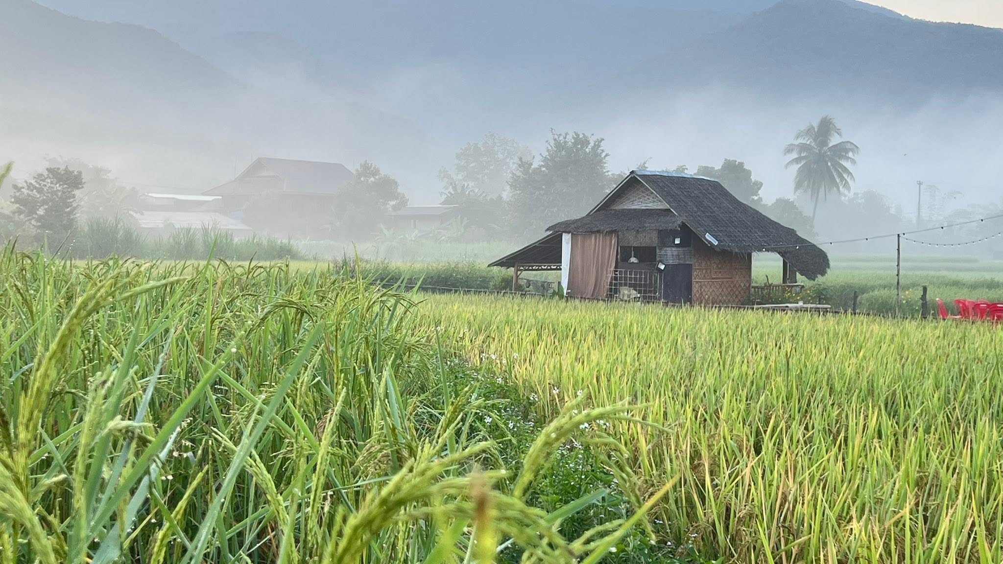 โรงเรียนชาวนาตำบลศิลาเพชร (Farmstay farmerschool) อ.ปัว น่าน