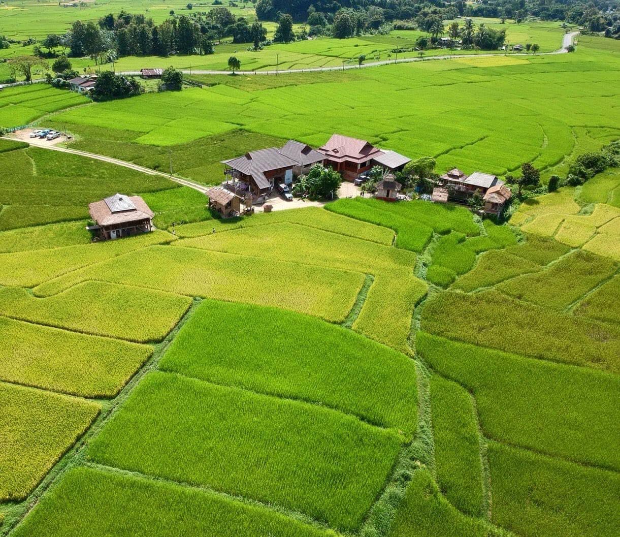 โรงเรียนชาวนาตำบลศิลาเพชร (Farmstay farmerschool) อ.ปัว น่าน