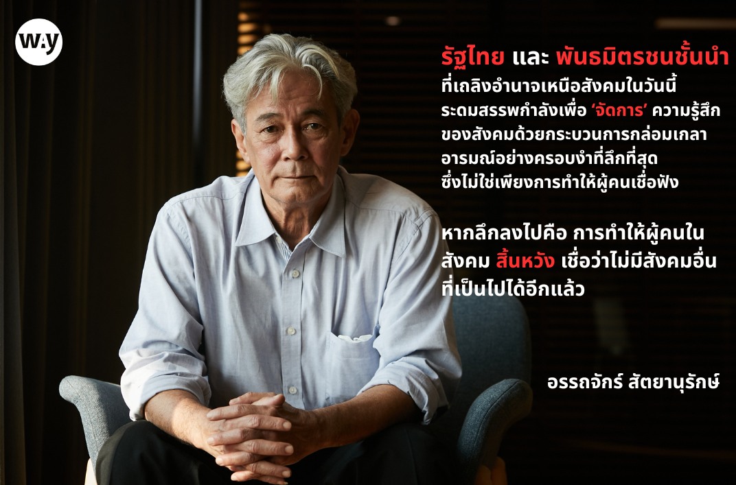 แมวต้องมาก่อนหมา แต่หมาบางครั้งก็ชอบกัดแมว