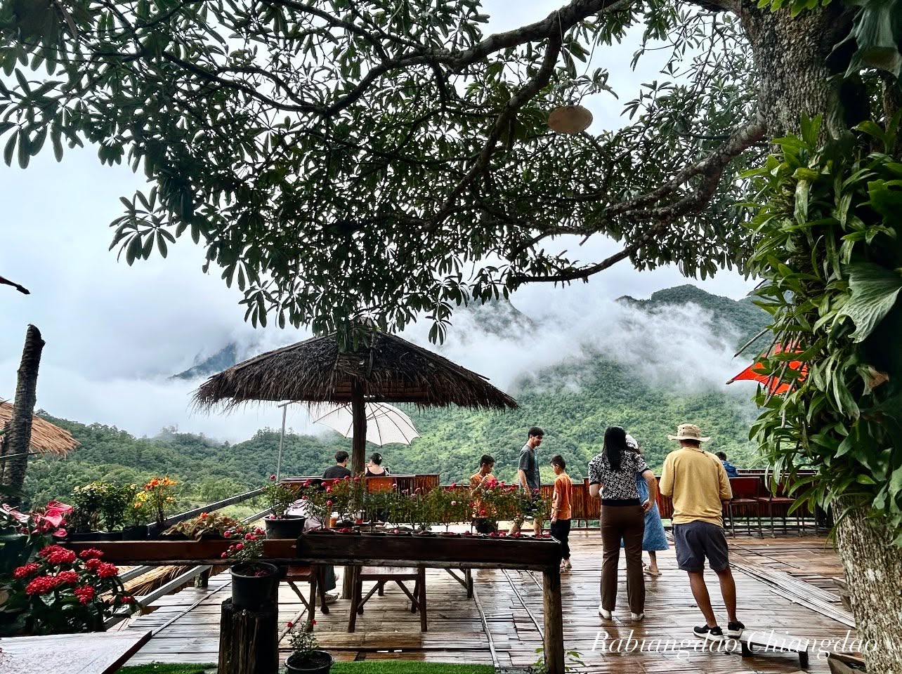 ระเบียงดาว บ้านนาเลา เชียงดาว