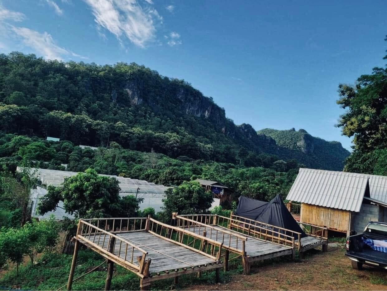 ชุมชนบ้านปางแดงใน อ.เชียงดาว