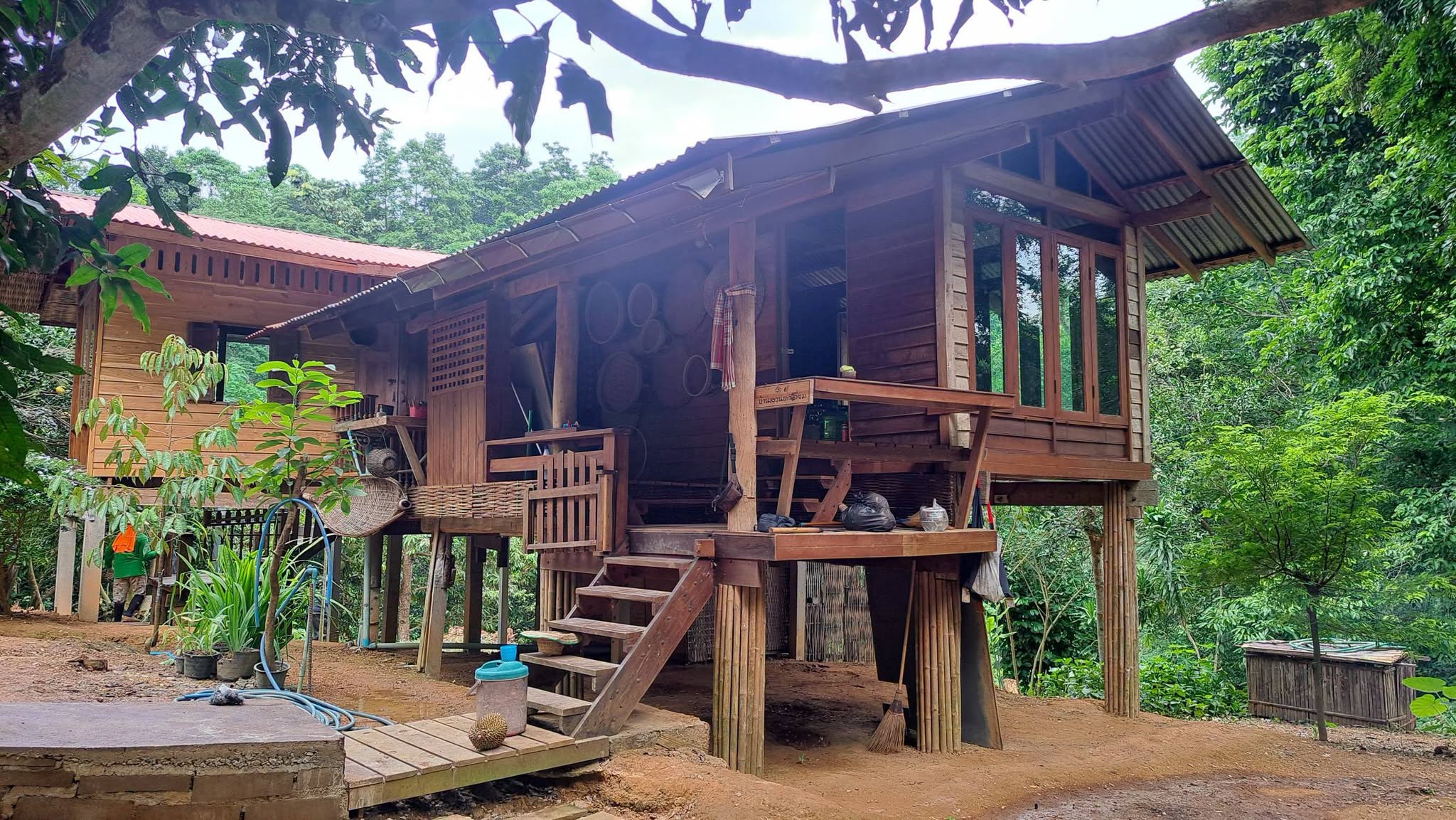 โฮมสเตย์บ้านนาต้นจั่น จังหวัดสุโขทัย
