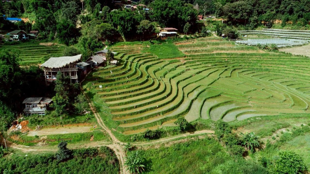 บ้านผาหมอน ดอยอินทนนท์
