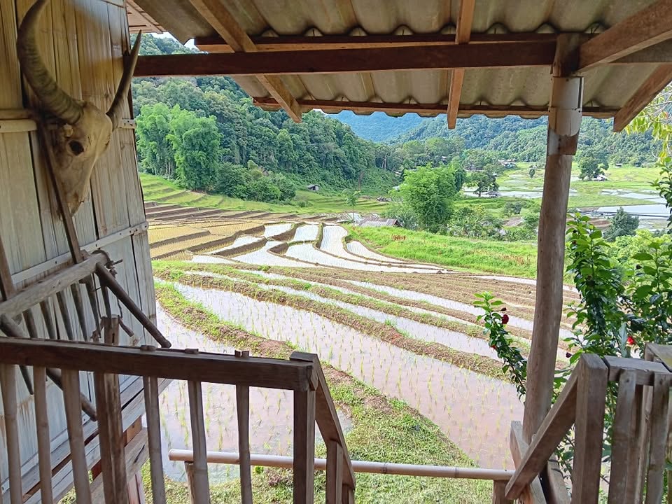 บ้านผาหมอน ดอยอินทนนท์