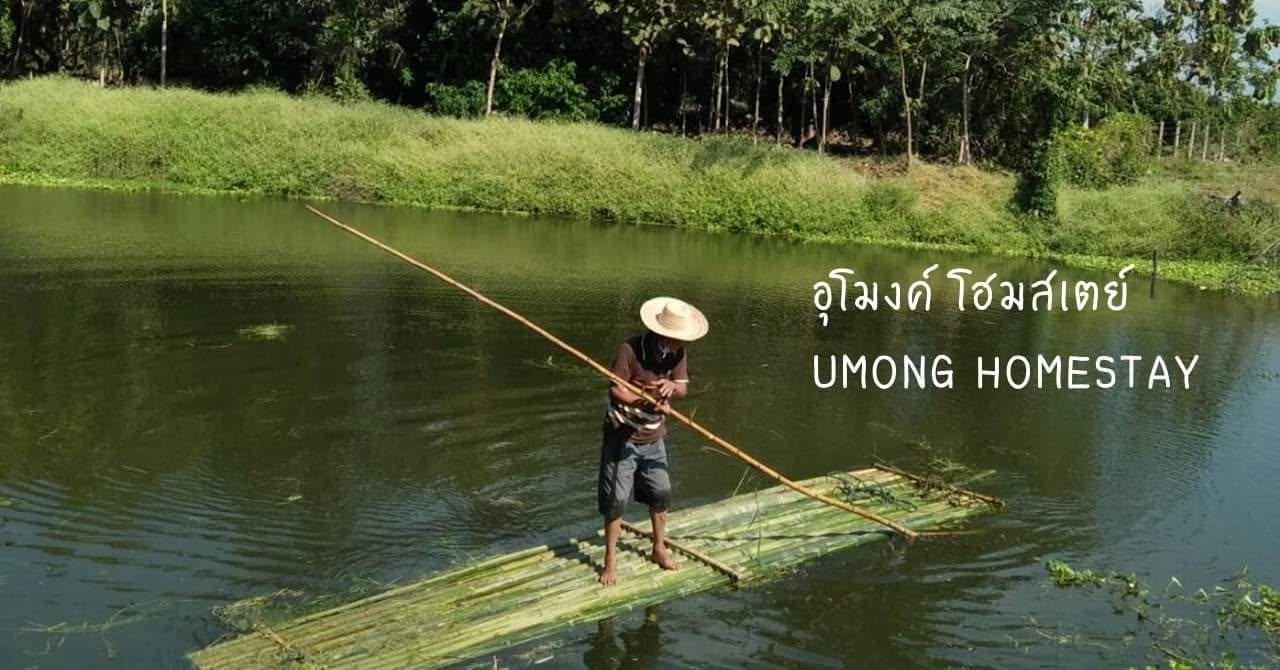 UMONG อุโมงค์ โฮมสเตย์ ลำพูน