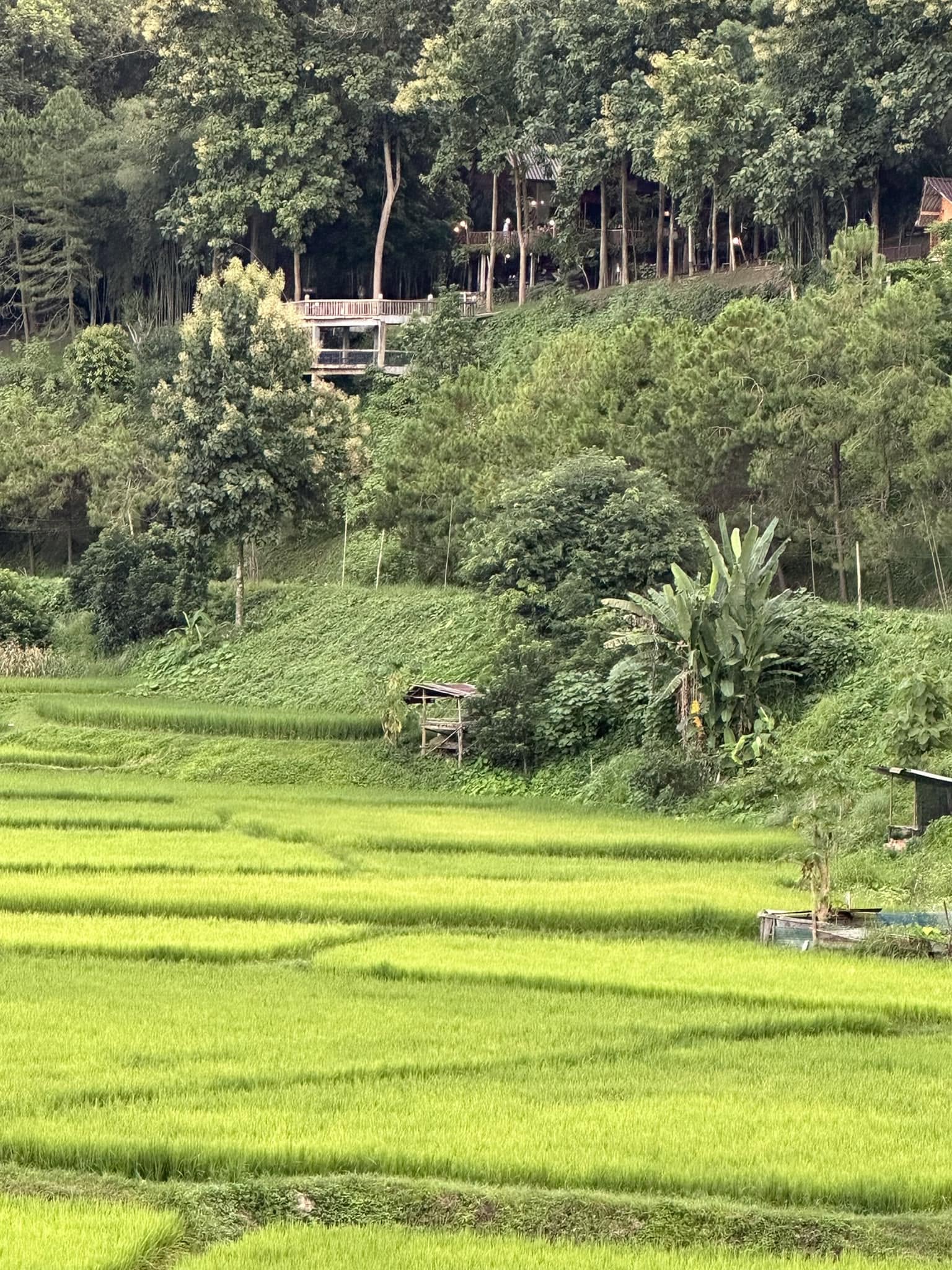 ฟาร์มเห็ดบ้านหัวน้ำโฮมสเตย์
