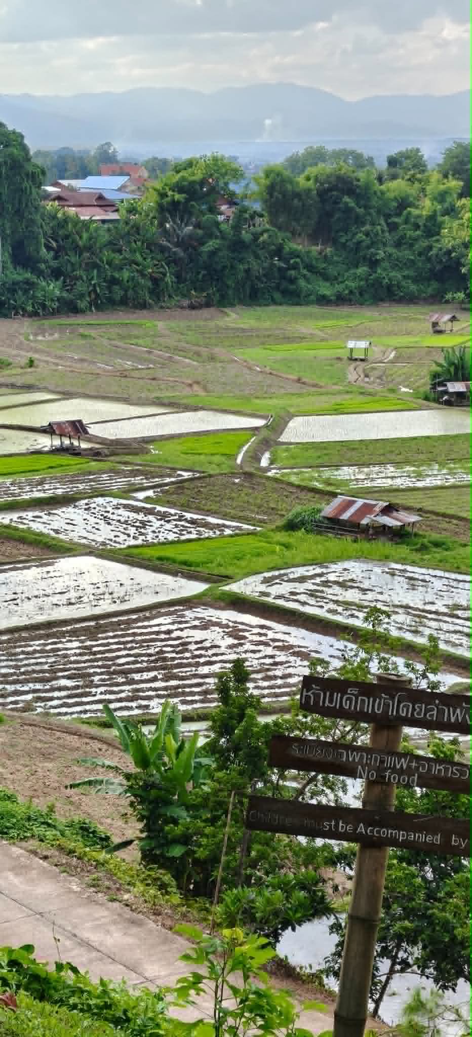 ฟาร์มเห็ดบ้านหัวน้ำโฮมสเตย์