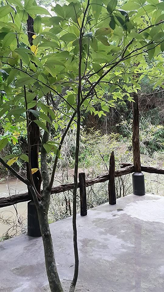 บ้านป่าริมธาร โฮมสเตย์ ทุ่งเพล จันทบุรี Cabin Creek Thailand Chanthaburi