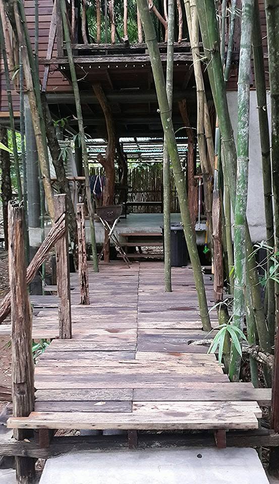 บ้านป่าริมธาร โฮมสเตย์ ทุ่งเพล จันทบุรี Cabin Creek Thailand Chanthaburi