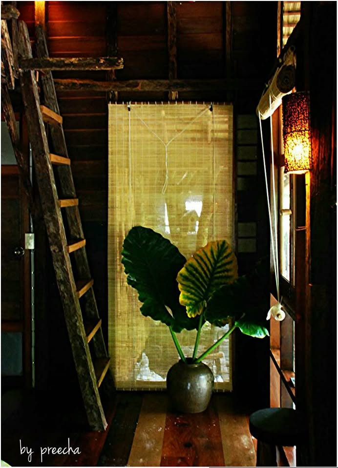 บ้านป่าริมธาร โฮมสเตย์ ทุ่งเพล จันทบุรี Cabin Creek Thailand Chanthaburi