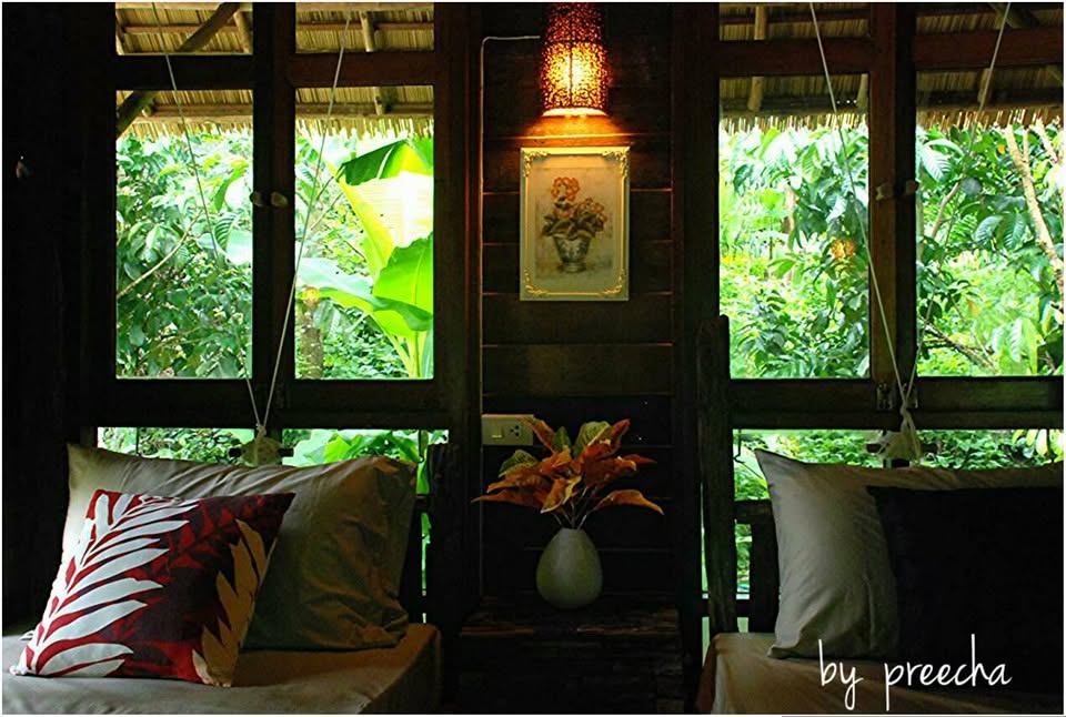 บ้านป่าริมธาร โฮมสเตย์ ทุ่งเพล จันทบุรี Cabin Creek Thailand Chanthaburi
