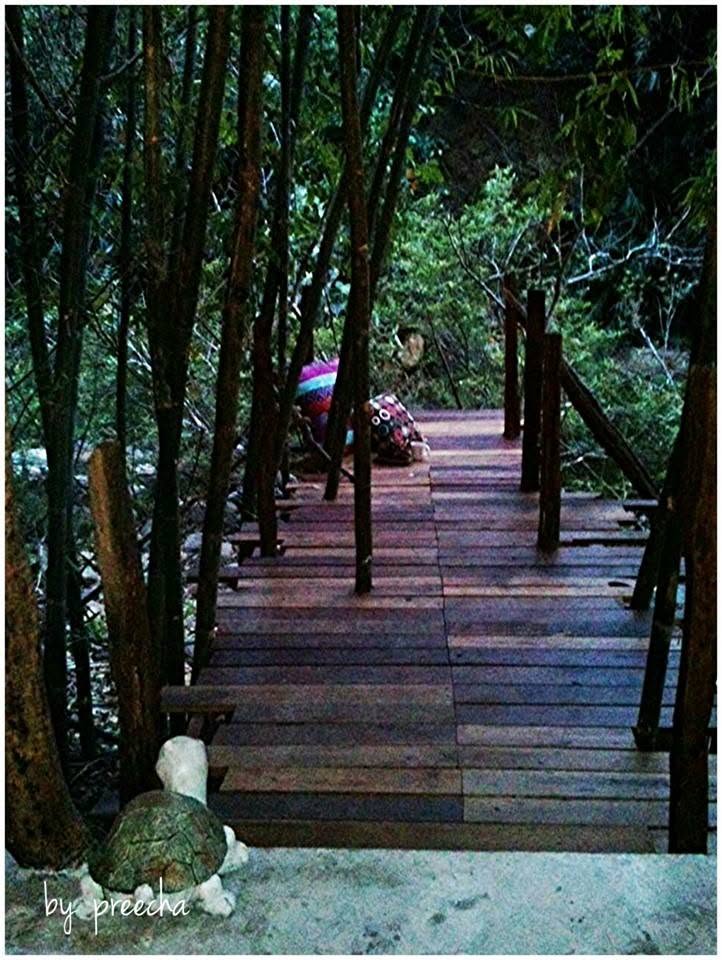 บ้านป่าริมธาร โฮมสเตย์ ทุ่งเพล จันทบุรี Cabin Creek Thailand Chanthaburi