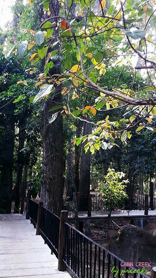 บ้านป่าริมธาร โฮมสเตย์ ทุ่งเพล จันทบุรี Cabin Creek Thailand Chanthaburi