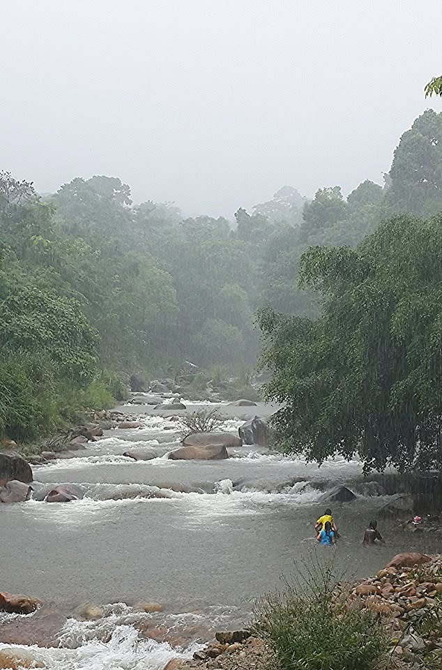บ้านป่าริมธาร โฮมสเตย์ ทุ่งเพล จันทบุรี Cabin Creek Thailand Chanthaburi