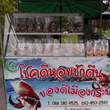 โชคดีหอยชักตีน ของดีเมืองกระบี่