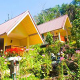 ภูเกลือโฮม บ่อเกลือ น่าน Phuklua Home