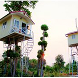 บ้านต้นไม้ฟาร์มสเตย์ กุดบาก สกลนคร
