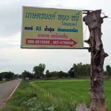 เกษตรยงค์ หยง-หยี๋ โฮมสเตย์ จ.อำนาจเจริญ