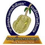 สวนทุเรียนทองนพคุณ ทุเรียนภูเขาไฟ ศรีสะเกษ