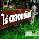 ไร่ตองทรัพย์ ทุเรียน ศรีสะเกษ