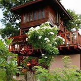 บ้านต้นไม้ ทองหัตถา ชัยภูมิ