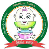 Milin Farm : Premium Melon เวียงเชียงรุ้ง เชียงราย