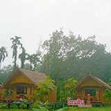 โตนดิน ฟาร์มสเตย์ ตะกั่วทุ่ง พังงา