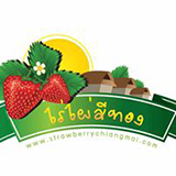 ไร่สตรอเบอรี่ไผ่สีทอง สะเมิง เชียงใหม่