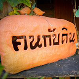 คนกับดินโฮมสเตย์ พร้าว เชียงใหม่